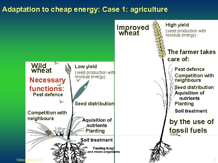 Adaptation to cheap energy: Case 1: agriculture Improved wheat Wild wheat Necessary functions: High