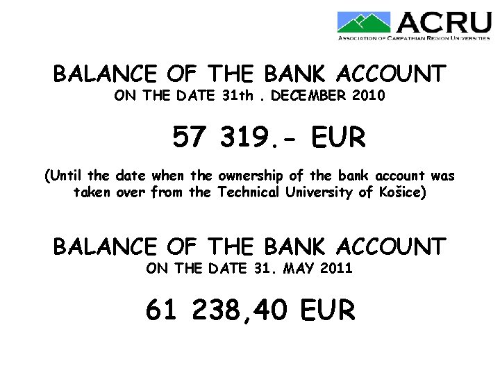 BALANCE OF THE BANK ACCOUNT ON THE DATE 31 th. DECEMBER 2010 57 319.