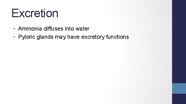 Excretion • Ammonia diffuses into water • Pyloric glands may have excretory functions 