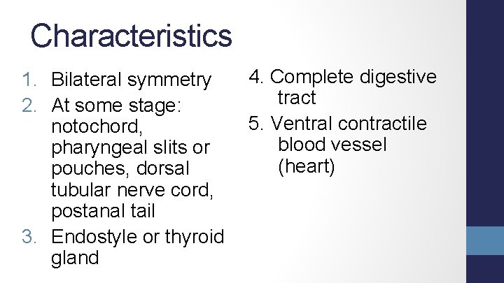 Characteristics 1. Bilateral symmetry 2. At some stage: notochord, pharyngeal slits or pouches, dorsal