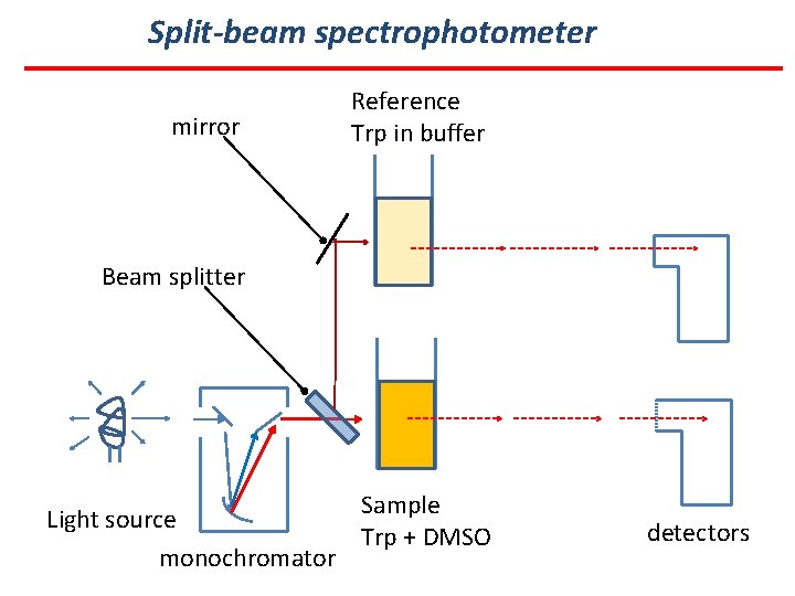 Split-beam spectrophotometer mirror Reference Trp in buffer Beam splitter Sample Light source Trp +