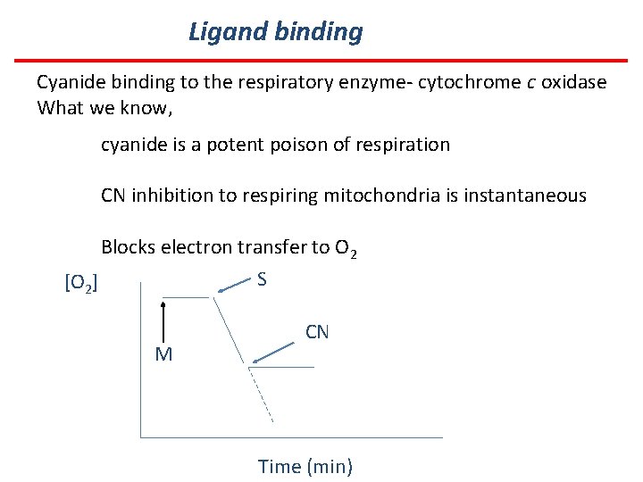 Ligand binding Cyanide binding to the respiratory enzyme- cytochrome c oxidase What we know,