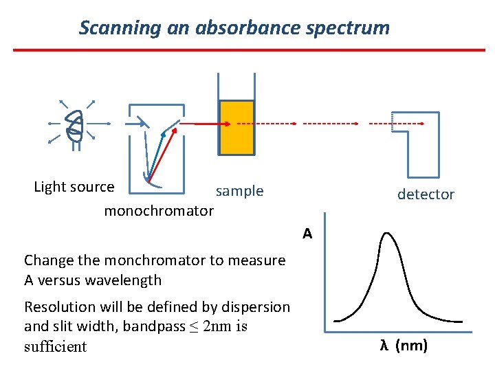 Scanning an absorbance spectrum Light source sample monochromator detector A Change the monchromator to