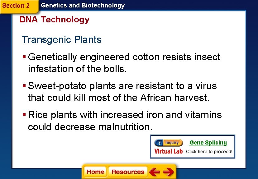 Section 2 Genetics and Biotechnology DNA Technology Transgenic Plants § Genetically engineered cotton resists
