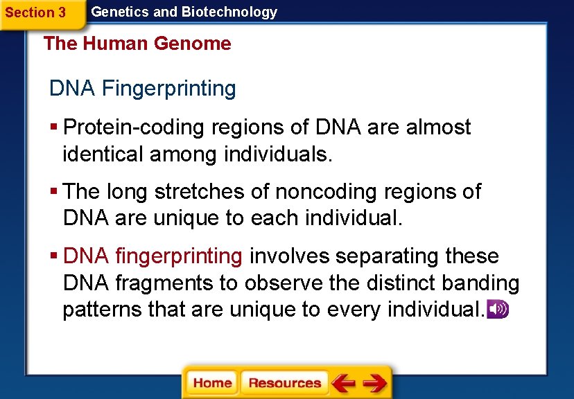 Section 3 Genetics and Biotechnology The Human Genome DNA Fingerprinting § Protein-coding regions of