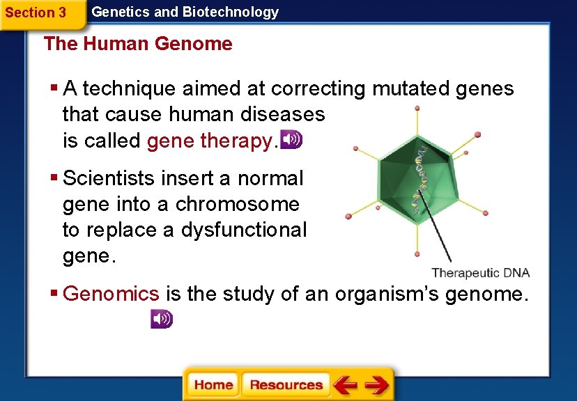 Section 3 Genetics and Biotechnology The Human Genome § A technique aimed at correcting