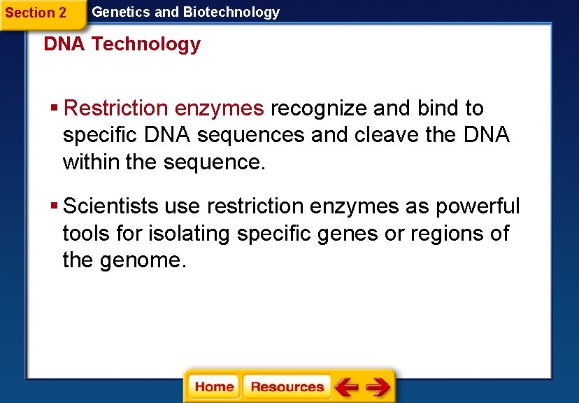 Section 2 Genetics and Biotechnology DNA Technology § Restriction enzymes recognize and bind to