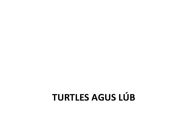 TURTLES AGUS LÚB 