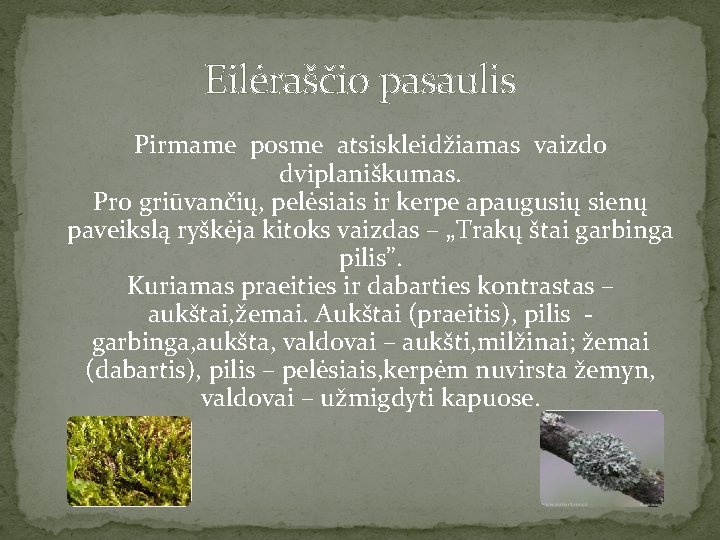 Eilėraščio pasaulis Pirmame posme atsiskleidžiamas vaizdo dviplaniškumas. Pro griūvančių, pelėsiais ir kerpe apaugusių sienų
