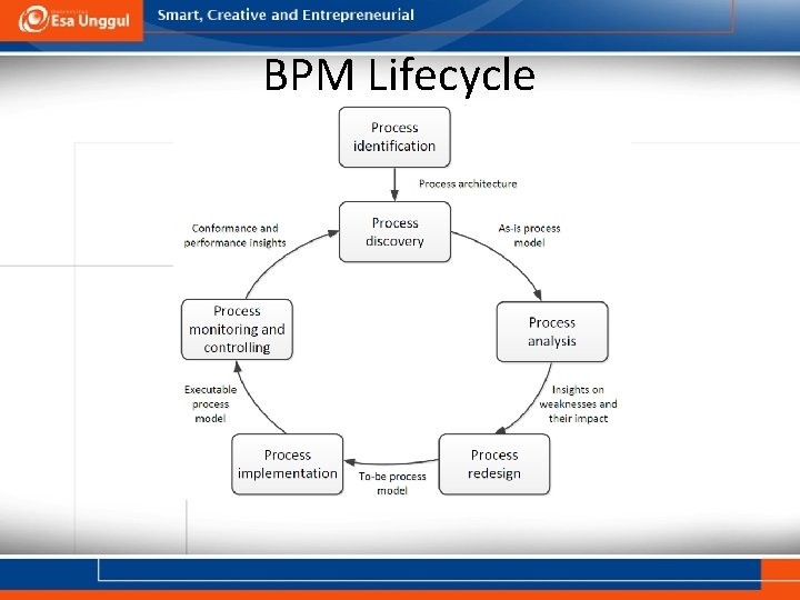 BPM Lifecycle 