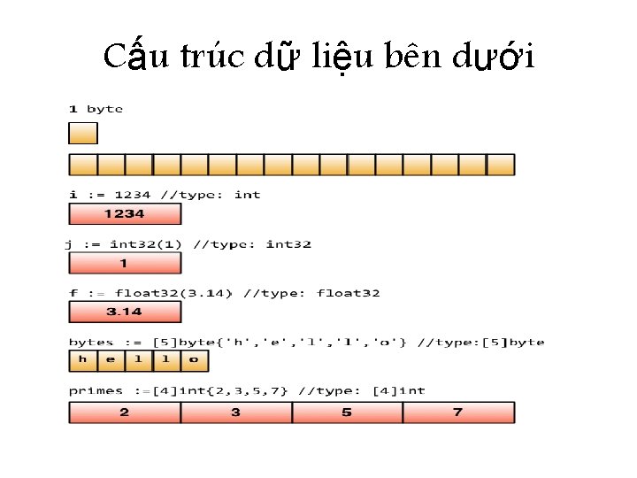 Cấu trúc dữ liệu bên dưới 