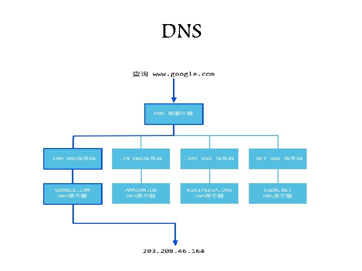 DNS 