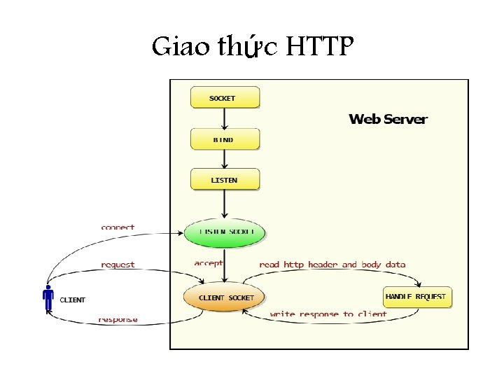 Giao thức HTTP 