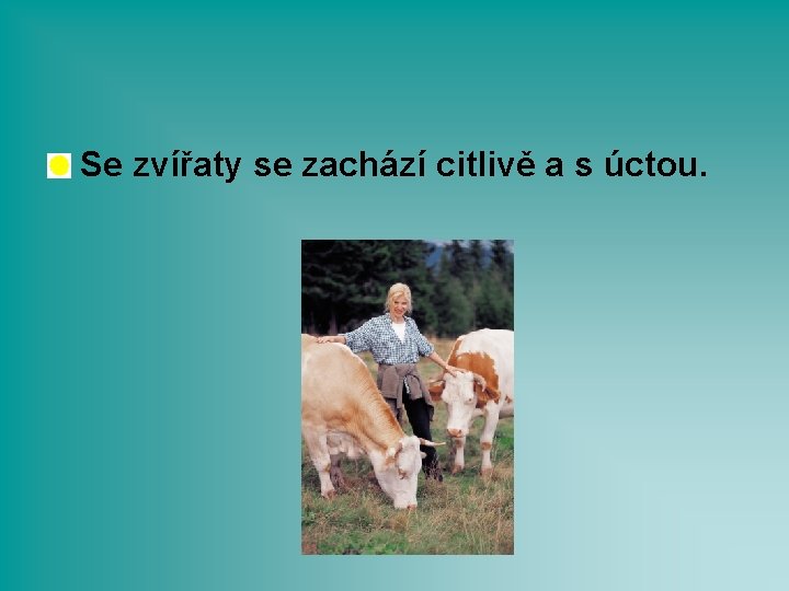 Se zvířaty se zachází citlivě a s úctou. 