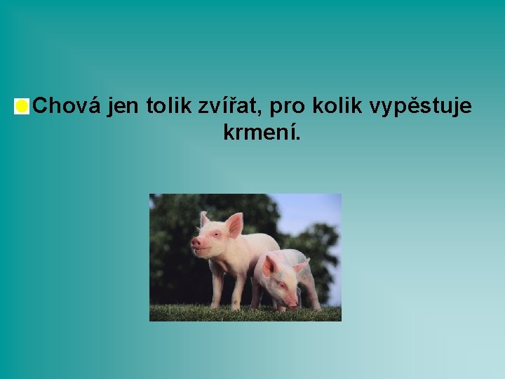 Chová jen tolik zvířat, pro kolik vypěstuje krmení. 