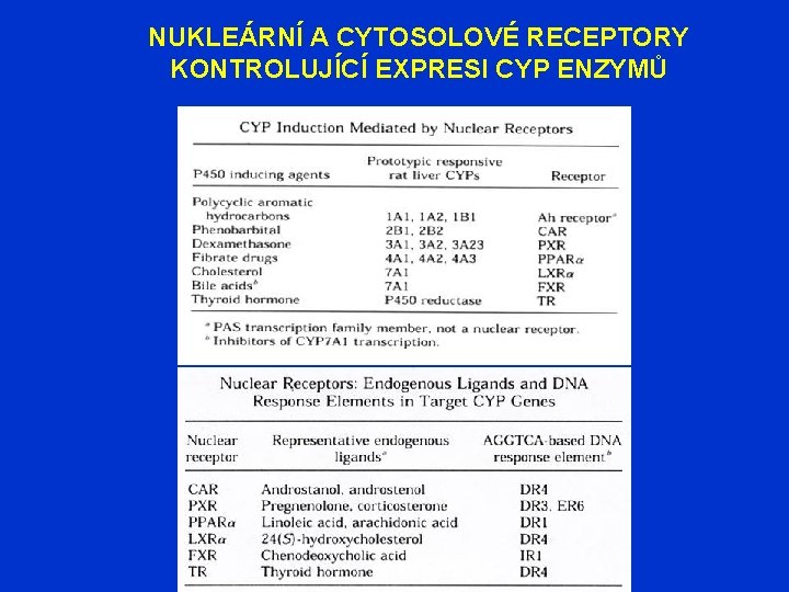 NUKLEÁRNÍ A CYTOSOLOVÉ RECEPTORY KONTROLUJÍCÍ EXPRESI CYP ENZYMŮ 