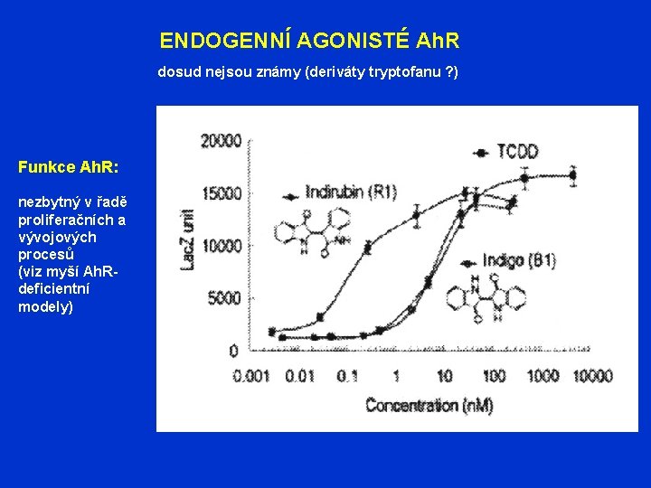 ENDOGENNÍ AGONISTÉ Ah. R dosud nejsou známy (deriváty tryptofanu ? ) Funkce Ah. R: