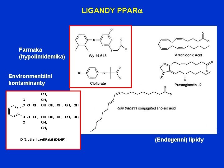 LIGANDY PPARa Farmaka (hypolimidemika) Environmentální kontaminanty (Endogenní) lipidy 