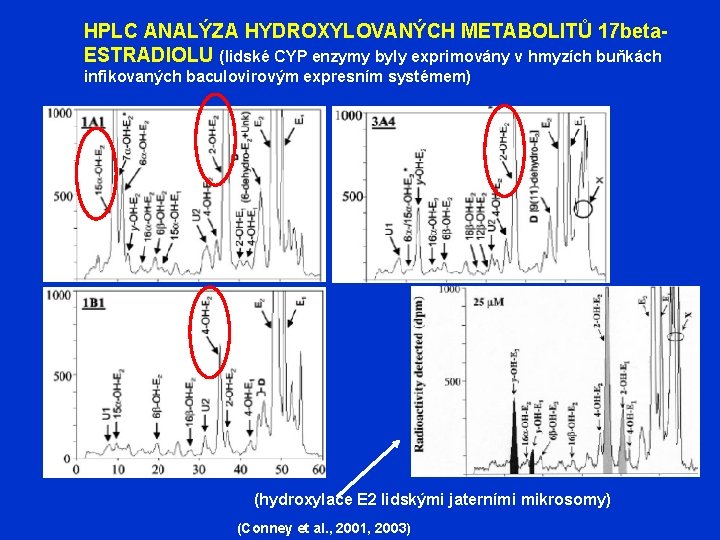 HPLC ANALÝZA HYDROXYLOVANÝCH METABOLITŮ 17 beta. ESTRADIOLU (lidské CYP enzymy byly exprimovány v hmyzích