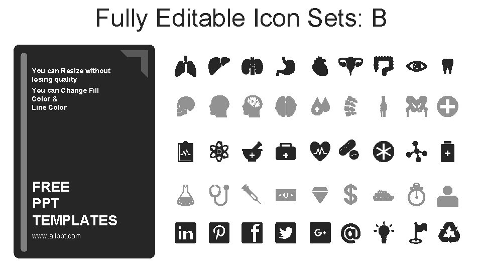 Fully Editable Icon Sets: B You can Resize without losing quality You can Change