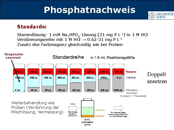 Phosphatnachweis Titelmasterformat durch Klicken Standards: Stammlösung: 1 m. M Na 2 HPO 4 -Lösung
