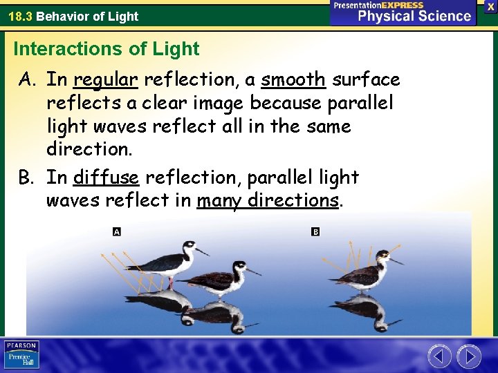 18. 3 Behavior of Light Interactions of Light A. In regular reflection, a smooth