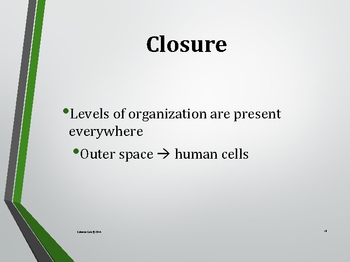 Closure • Levels of organization are present everywhere • Outer space human cells Lehman