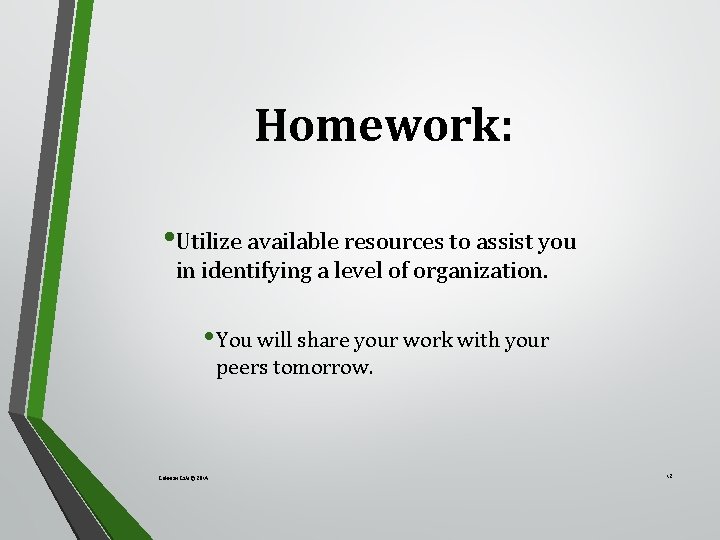 Homework: • Utilize available resources to assist you in identifying a level of organization.