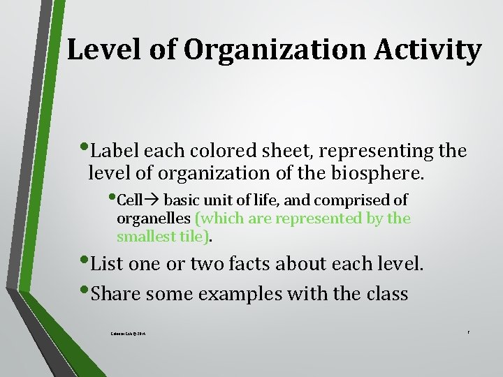 Level of Organization Activity • Label each colored sheet, representing the level of organization
