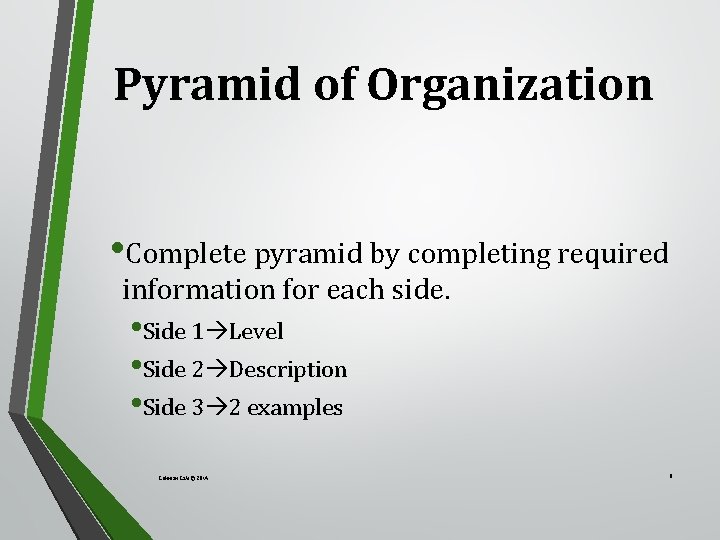 Pyramid of Organization • Complete pyramid by completing required information for each side. •