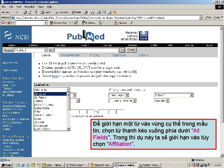 Limiting to fields in Pub. Med Để giới hạn một từ vào vùng cụ