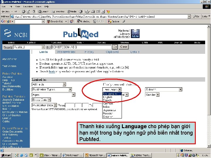 Limit to Languages 1 Thanh kéo xuống Language cho phép bạn giới hạn một