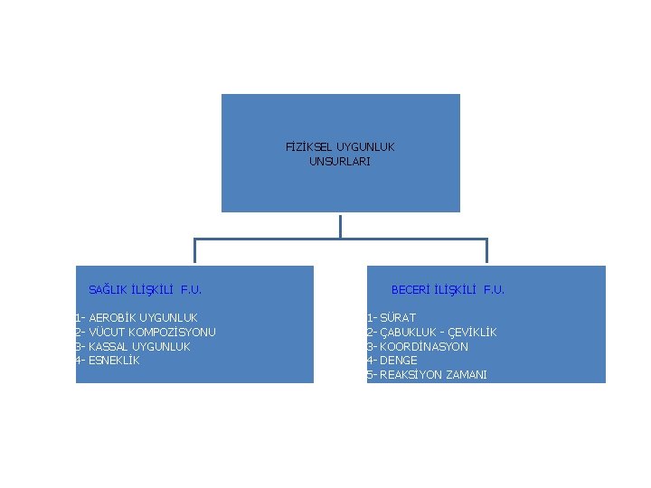 FİZİKSEL UYGUNLUK UNSURLARI SAĞLIK İLİŞKİLİ F. U. 1234 - AEROBİK UYGUNLUK VÜCUT KOMPOZİSYONU KASSAL