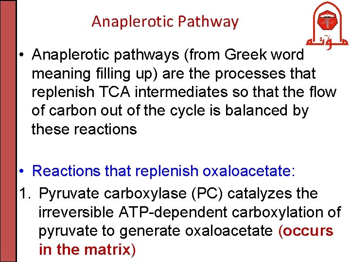 Anaplerotic Pathway • Anaplerotic pathways (from Greek word meaning filling up) are the processes