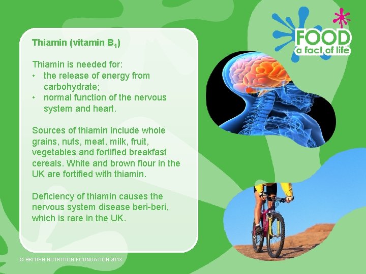 Thiamin (vitamin B 1) Thiamin is needed for: • the release of energy from