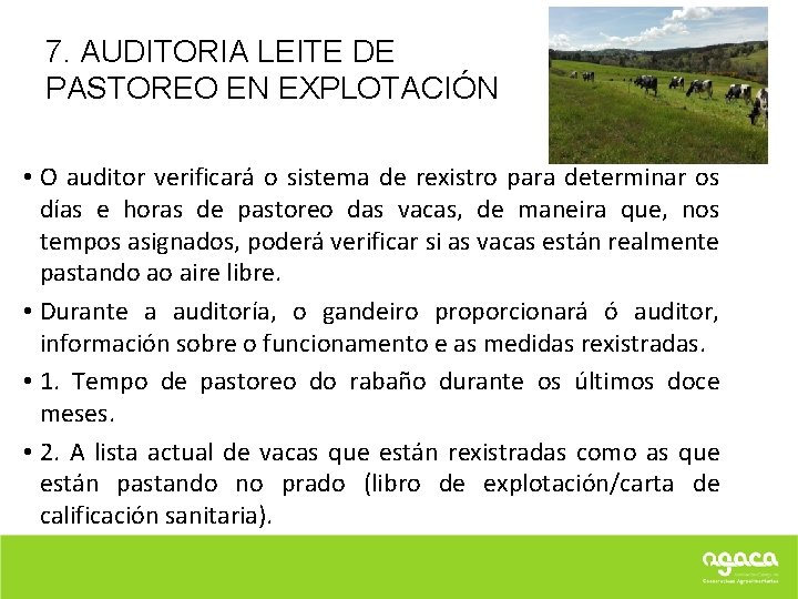 7. AUDITORIA LEITE DE PASTOREO EN EXPLOTACIÓN • O auditor verificará o sistema de