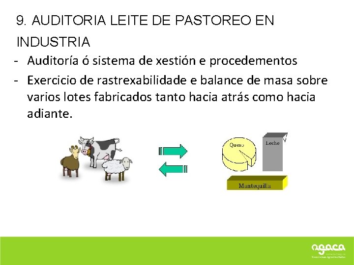 9. AUDITORIA LEITE DE PASTOREO EN INDUSTRIA - Auditoría ó sistema de xestión e