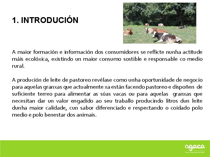 1. INTRODUCIÓN A maior formación e información dos consumidores se reflicte nunha actitude máis