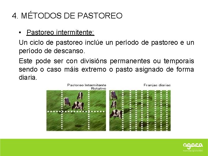 4. MÉTODOS DE PASTOREO • Pastoreo intermitente: Un ciclo de pastoreo inclúe un período