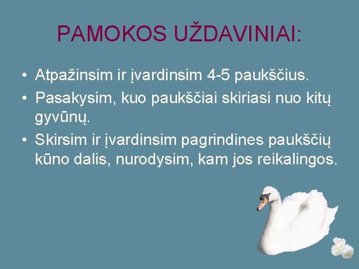 PAMOKOS UŽDAVINIAI: • Atpažinsim ir įvardinsim 4 -5 paukščius. • Pasakysim, kuo paukščiai skiriasi