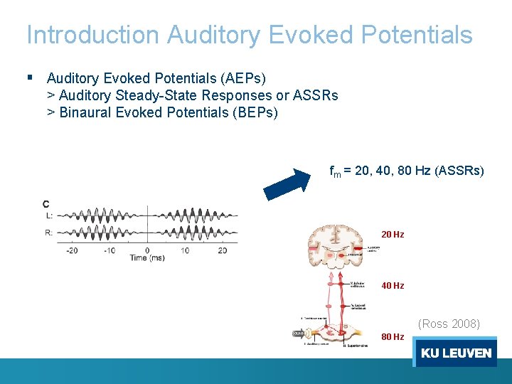 Introduction Auditory Evoked Potentials § Auditory Evoked Potentials (AEPs) > Auditory Steady-State Responses or