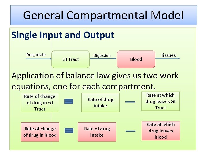 General Compartmental Model Single Input and Output Drug Intake GI Tract Digestion Blood Tissues