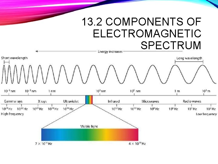 13. 2 COMPONENTS OF ELECTROMAGNETIC SPECTRUM 