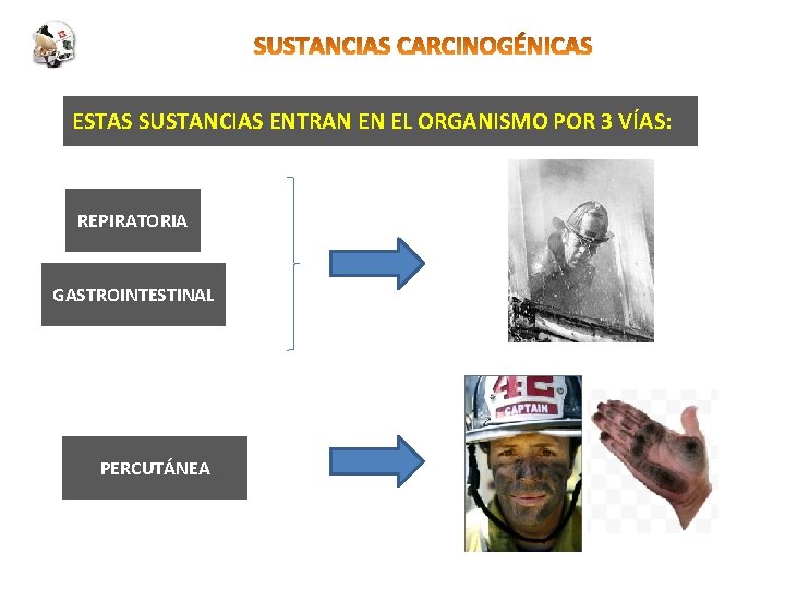 ESTAS SUSTANCIAS ENTRAN EN EL ORGANISMO POR 3 VÍAS: REPIRATORIA GASTROINTESTINAL PERCUTÁNEA 