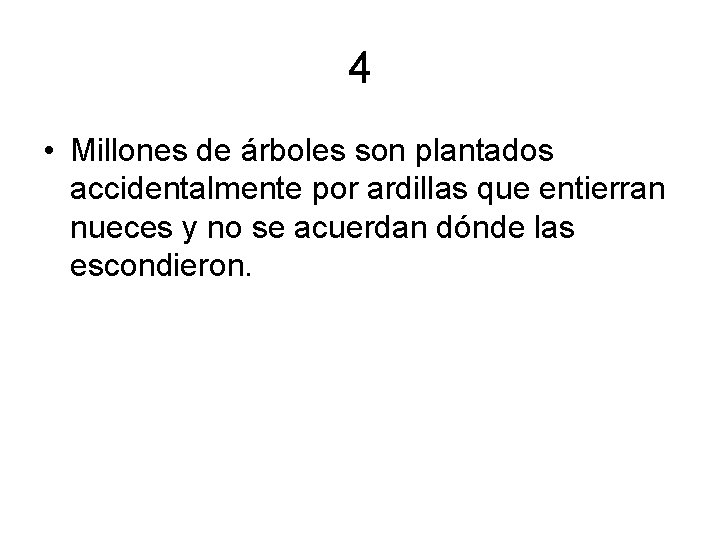 4 • Millones de árboles son plantados accidentalmente por ardillas que entierran nueces y