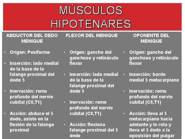 MÚSCULOS HIPOTENARES ABDUCTOR DEL DEDO MENIQUE • Origen: Pesiforme • Inserción: lado medial de