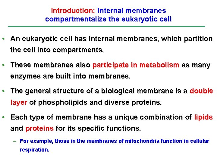 Introduction: Internal membranes compartmentalize the eukaryotic cell • An eukaryotic cell has internal membranes,