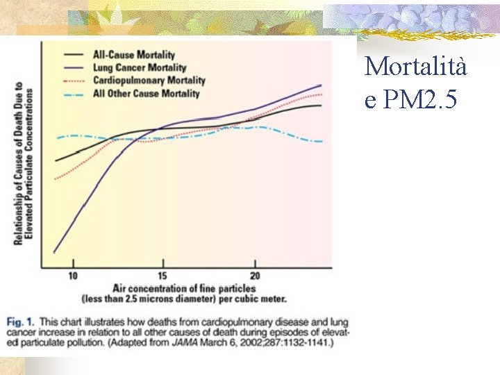 Mortalità e PM 2. 5 