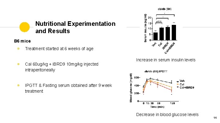 Nutritional Experimentation and Results B 6 mice ◉ Treatment started at 6 weeks of