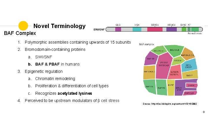 Novel Terminology BAF Complex 1. Polymorphic assemblies containing upwards of 15 subunits 2. Bromodomain-containing